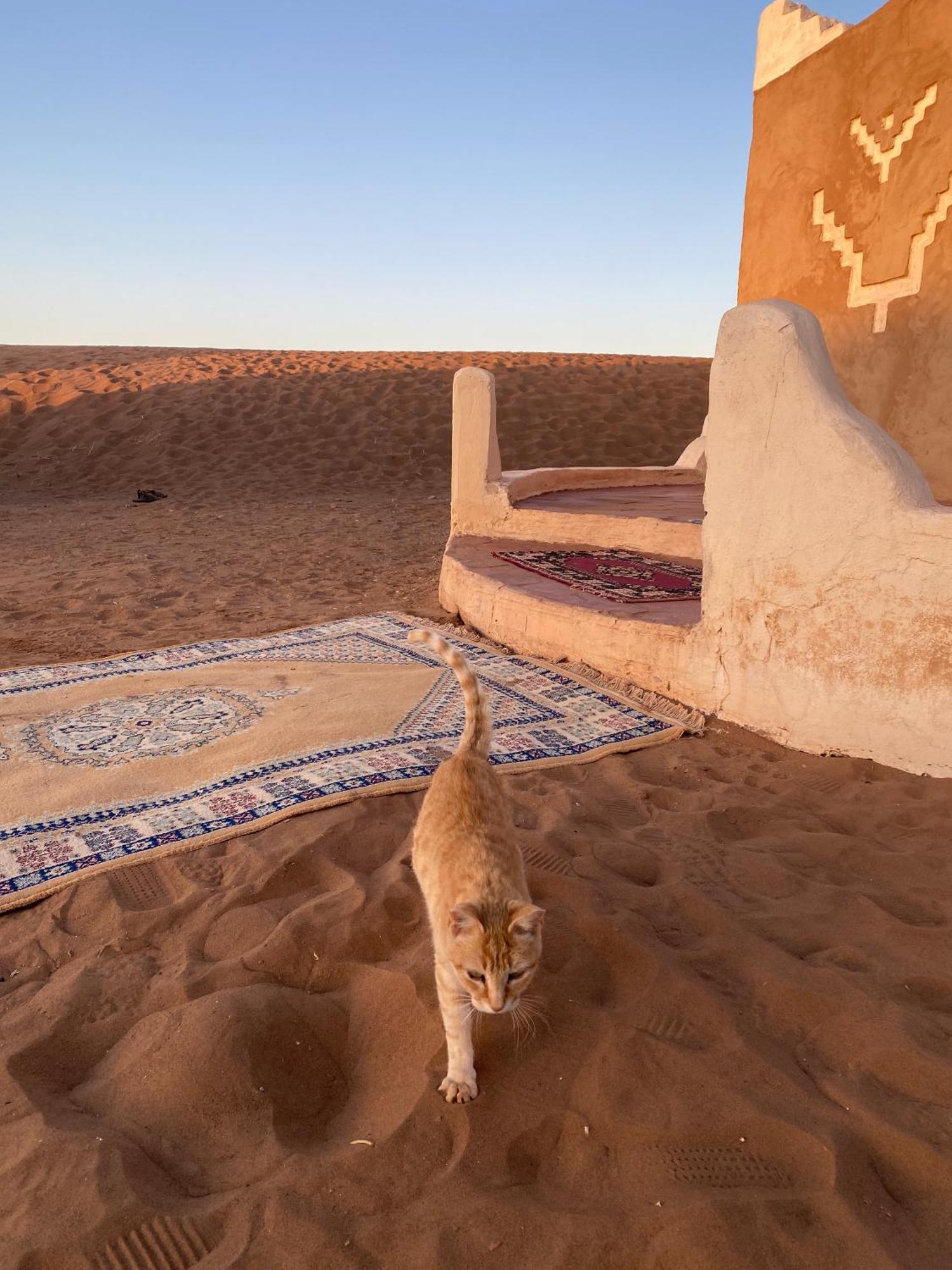 Bivouac Erg Chegaga Nomademoi Hotel El Gouera Bagian luar foto